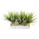 thumbnail image 3 of Planta artificial de pasto de vainilla casi natural con maceta, 3 of 5