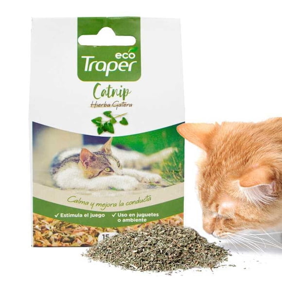 Catnip Seco Natural Traper Premium Para Gato