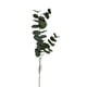 thumbnail image 1 of Rama Eucalipto 79cm Artificial, 1 of 3