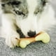thumbnail image 5 of Juguete masticable para perros Tikaton, de nailon duradero, para masticadores agresivos, 5 of 7
