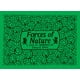 thumbnail image 1 of Forces of Nature, 1 of 1