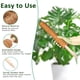 thumbnail image 4 of Tutor de musgo 2 unidades PLANTPOLEX, estacas de soporte para plantas de 53 cm, 4 of 6