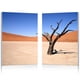 thumbnail image 1 of Set de impresión fotográfica Baxton Studio FG-1065AB Desert Solitude, 1 of 1