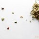 thumbnail image 2 of Té Deer Soul ImmunoBoost Hierbas Sueltas 43g, 2 of 3