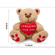 thumbnail image 2 of Valentine’s Day gifts, 10-inch plush stuffed teddy bear for mom, best friends, and teenage girls, perfect gift idea for Valentine’s, birthday, Christmas, and dating occasions., 2 of 3