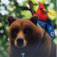 thumbnail image 1 of Banda sonora Zach Top Banjo‑Kazooie Jiggy Gold LP, 1 of 1