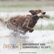 thumbnail image 5 of Entrenador remoto SportDog SportHunter 825X para perros, 5 of 7