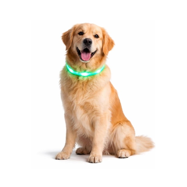 Collar LED Perro USB Recargable 51 cm 10-25 kg azul