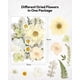 thumbnail image 5 of Kit De 100 Piezas Para Manualidades Naturales Prensadas Con Flores Secas, 5 of 9