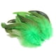 thumbnail image 1 of 50 Plumas Para Manualidades, Decoraciones Para Bodas, Fabricación De Joyas, Color Verde, 1 of 5