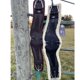 thumbnail image 4 of Cincha Professional's Choice VenTECH Contorneada, 4 of 4
