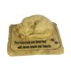 thumbnail image 2 of Piedra Conmemorativa De Gato, Ligera, Presenta Decoración De Condolencia, Marcador De Tumba De Gato Sin Agujero, 2 of 5