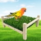 thumbnail image 2 of Posadero para aves FlidRunest 23×20 cm Juguete de forraje con hierba, 2 of 5