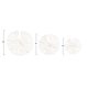 thumbnail image 2 of Conjunto Coral de Decoración de Pared Creative Co-Op – 3 Tallas, 2 of 9
