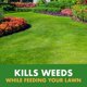thumbnail image 2 of Weed & Feed Spectracide 20-0-0 con pulverizador QuickFlip, paquete de 3, 2 of 9