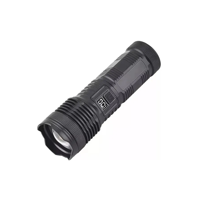 Genérico - Linterna Recargable Luz Led De Bolsillo Pantalla Lcd Irm Linterna Negro Luz Blanco