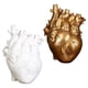 thumbnail image 1 of 2 Piezas De Florero De Corazón Anatómico Estatua De Resina Adorno De Maceta Decoración Del Hogar, 1 of 5