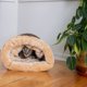thumbnail image 3 of Cama para gato Armarkat color mocha con tapete removible, 56 cm x 36 cm, 3 of 7