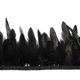 thumbnail image 3 of Ribete de Plumas Erikord 13‑18 cm Negro 5 Yardas (≈4,6 m), 3 of 6