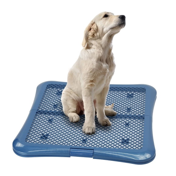 Soporte para almohadilla de entrenamiento Petphabet 61 cm x 61 cm con bandeja de malla