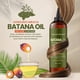 thumbnail image 3 of Aceite de batana Natural Riches, 100% puro y orgánico, 237 ml, para cabello, 3 of 3