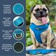 thumbnail image 3 of Arnés para perro DJANGO Adventure talla pequeña color azul Pacífico, 3 of 9