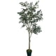 thumbnail image 1 of Árbol Ficus Hoja Chica 168cm Artificial, 1 of 3