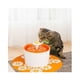 thumbnail image 4 of Bebedero Dispensador Mascotas Perros Fuente De Agua Naranja, 4 of 4