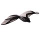 thumbnail image 1 of Figura De Juguete De Simulación De Modelo Animal, Figura Decorativa Para El Hogar, Murciélago, 1 of 5