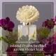 thumbnail image 3 of Difusor de Aroma Scentsy Dainty Daisy – Flor de Bora Bora, 3 of 6