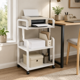 thumbnail image 1 of Soporte Impresora 52x34x89.5cm con Ruedas Organizador Oficina Blanco Moderno, 1 of 7