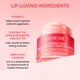 thumbnail image 5 of Mascarilla para dormir para labios LANEIGE Taro Bubble Tea con vitamina C, 5 of 9