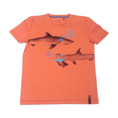 Polera Niño Naranjo Pillin