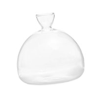 Magideal - Florero Iniciador De Semillas De Aguacate, Botella De Aguacate Para De Cultivo, Jarrón Para Cultivo De Plantas Para Decoración Interior Del Hogar,