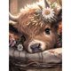 thumbnail image 1 of Kit de Arte de Diamantes Fountor 30x40 cm Vaca de las Tierras Altas, 1 of 6