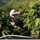 thumbnail image 5 of Café Molido Yaucono 397 g (Paquete de 6) Tueste Medio, 5 of 9