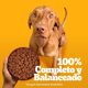 thumbnail image 4 of Alimento Húmedo Perro Adulto Sabor Carne Pouch, 100 g, 4 of 9
