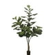 thumbnail image 1 of Planta Decorativa Arbol De Fiddle 180cm, 1 of 2