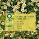 thumbnail image 2 of Shampoo Herbal Essences Classic Shine, 400 ml, 2 of 5
