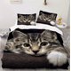 thumbnail image 1 of x773 Bed SheetsCartoon Cat Duvet Cover Set for Kids Boys Girls, Cute Cats Animal Bedding Set Cat Lovers Pet Decor Quilt Cover Bedroom Pcs 3-Piece Bedding Set (1 Duvet Cover + 2 Pillow Shams) nj773, 1 of 5
