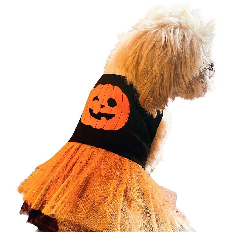 Disfraz de Halloween para Perritas y Gatas - Vestido Calabaza Encantada S