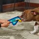 thumbnail image 5 of Juguete para perros Outward Hound Durablez Tough Plush Squeaky Penguin XS, 5 of 5