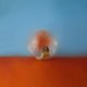 thumbnail image 1 of El álbum de vinilo Def Jam graba In The Meantime Alessia Cara, 1 of 1