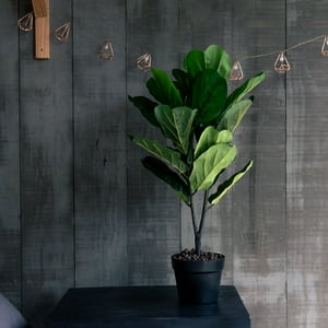 Vadell Home - Ficus Lyrata De 75 Cm