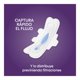 thumbnail image 4 of Toallas Higiénicas Nocturna Ultraprotect, 4 of 9