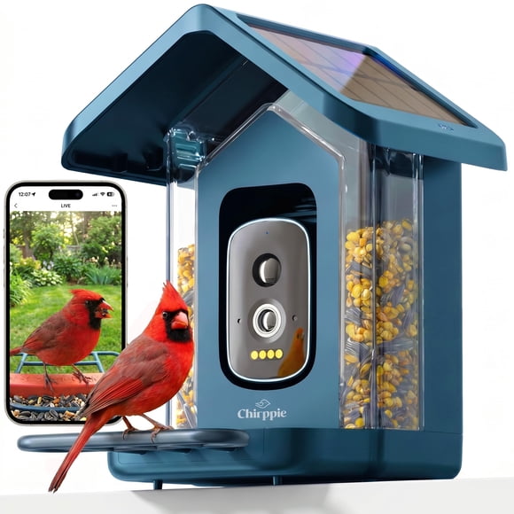 Comedero para pájaros Chirppie 2K HD con energía solar e identificación por IA