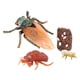 thumbnail image 4 of Ciclo De Vida De Animales Realistas Modelo Ciclo De Crecimiento De Juguete Juguetes Para Ni?os Cigarra, 4 of 5