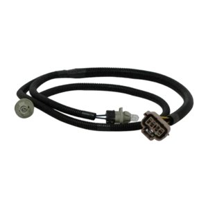 Ioensy - Arnés De Luz De Matrícula De Parachoques Trasero Premium Para 1999-2007