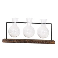 Magideal - Jarrón De Cristal Para Terrario De Plantas De Escritorio, Tarros De Propagación De Plantas De Granja Con Soporte De , Maceta De Cristal Para