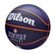 thumbnail image 2 of Icono de jugador de baloncesto WILSON de la NBA para exteriores, tamaño 7 (29,5 cm), 2 of 5